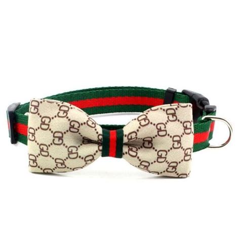 gucci dog bow